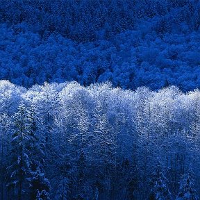 Фотография от Алёна Зворыгина