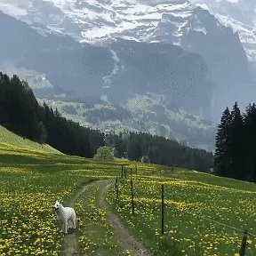 Фотография от Özum kimi ehtira Elcin Məmədov