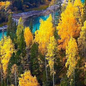 Фотография от керзи Сандалович