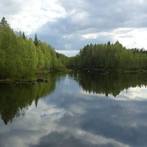 Фотография от Жанна Дмитриева