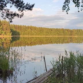 Фотография от Сергей Пантелеймонов