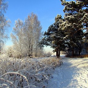 Фотография от Людмила Макарова