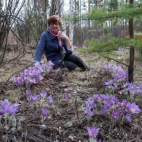 Фотография "Люблю красу лесных просторов,
Цветов волшебный аромат,
Что в нежных травах косогоров,
Как Феи в юбочках стоят.
А танец облаков на небе -
Вот волшебства водоворот!
Струну души легонько треплет
Их незатейливый полёт."