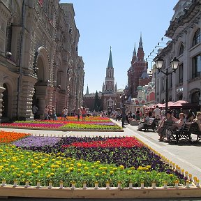 Фотография "Без  комментариев."