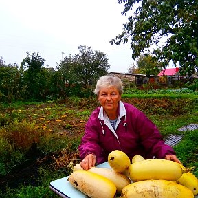 Фотография от наталия зайцева