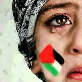 Фотография от PALESTINA 🇵🇸