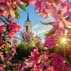 Фотография от Надежда Шагала(Протовень)