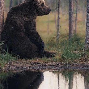 Фотография от Владимир Варфоломеев