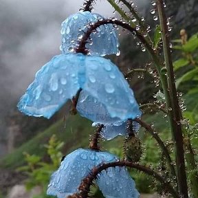 Фотография от Галина Парфёнова