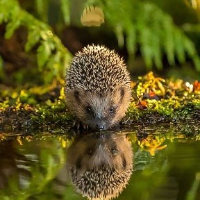 Фотография от Джоробаева Джоробаева