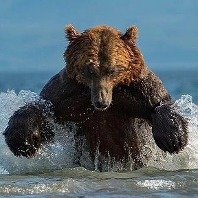 Фотография от Андрей Веселовский