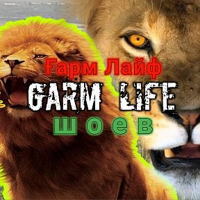 Фотография от Garm Life 👉ЮТУБ