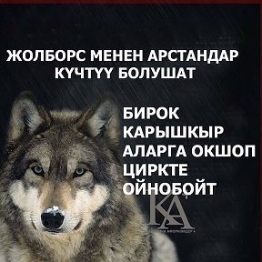 Фотография от Чёрный Волк🐺