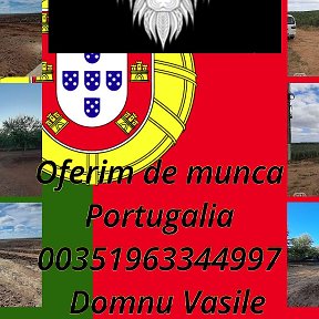 Фотография от La munca Portugalia