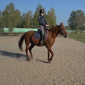 Фотография от Полина Садикова