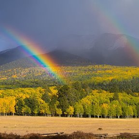 Фотография от Елена Куликова