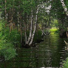 Фотография от Наталья Шокурова (Пачина)