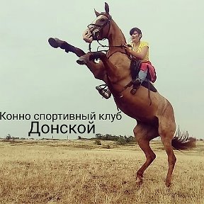 Фотография от ♥Клуб Любителей лошадей♥