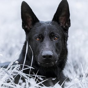 Фотография от Алла Ниживенкова