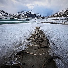 Фотография "трава после ледяного дождя"