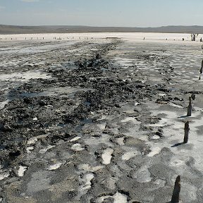 Фотография "Крым. озеро Чохрак. Соль,грязь....  где то там я."