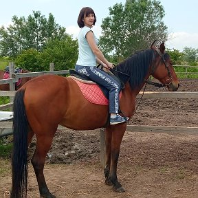 Фотография "Скучаю за Красавчиком, жду новых встречь в Молькино на ферме🥰"