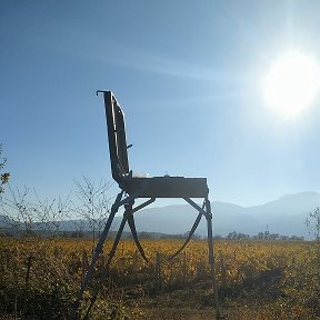 Фотография от Картины Портреты Художник Одажиу