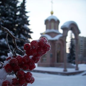 Фотография от Спаси и Сохрани 🕊️