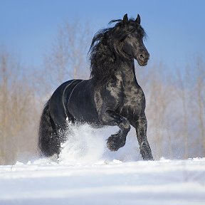 Фотография от Мария Kорнилова