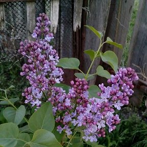 Фотография от Наталья Гребенюкова (Федорова)