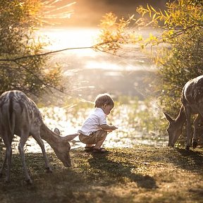 Фотография от sahak petrosyan