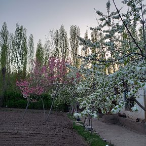 Фотография от Алик Алик