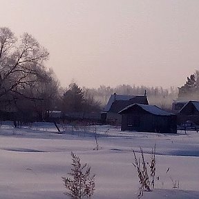 Фотография "Зима. Утро. Туман."