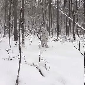 Фотография от алексей запивахин