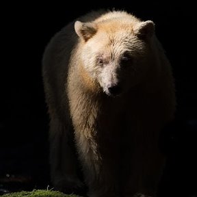 Фотография от Руслан Садовский