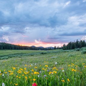 Фотография от Марина Литвинова