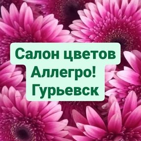 Фотография от ДОСТАВКА ЦВЕТОВ ГУРЬЕВСК 89516099716