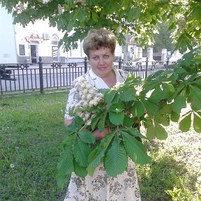 Фотография "Цветут в нашем парке каштаны, аллея проснулась от сна и гостьей, такой долгожданной, к нам в сердце приходит весна.е"