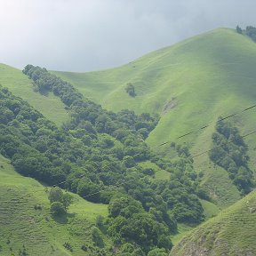 Фотография от Ира Фокина