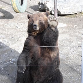 Фотография от Дмитрий Сысуев