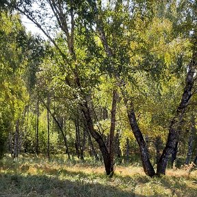 Фотография от Любовь Третьякова (Парашкурина)