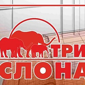 Фотография от Магазин ТРИ СЛОНА