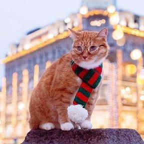 Фотография "Санкт-Петербург "