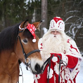 Фотография от 🎄❄ДЕД МОРОЗ❄️🎄 ☎️(4932)50-20-20