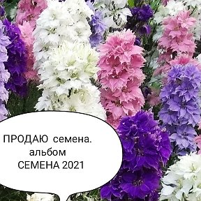 Фотография от ника цветы