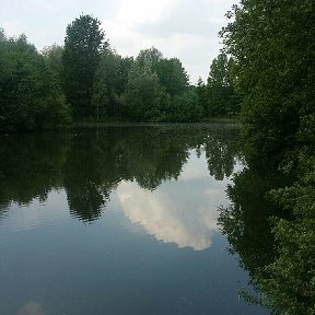 Фотография от Вера Фогель Гуменник