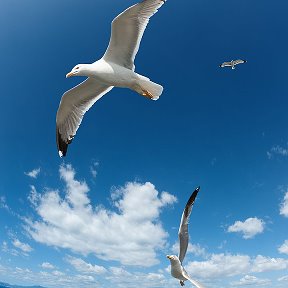 Фотография от Ганажан Амиров