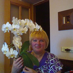 Фотография "Я и моя красавица орхидея."