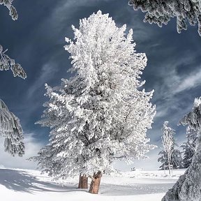 Фотография от Анна Гликман