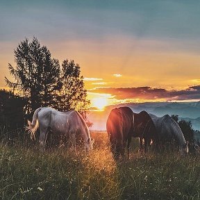 Фотография от Оксана Хозяинова (Косых)